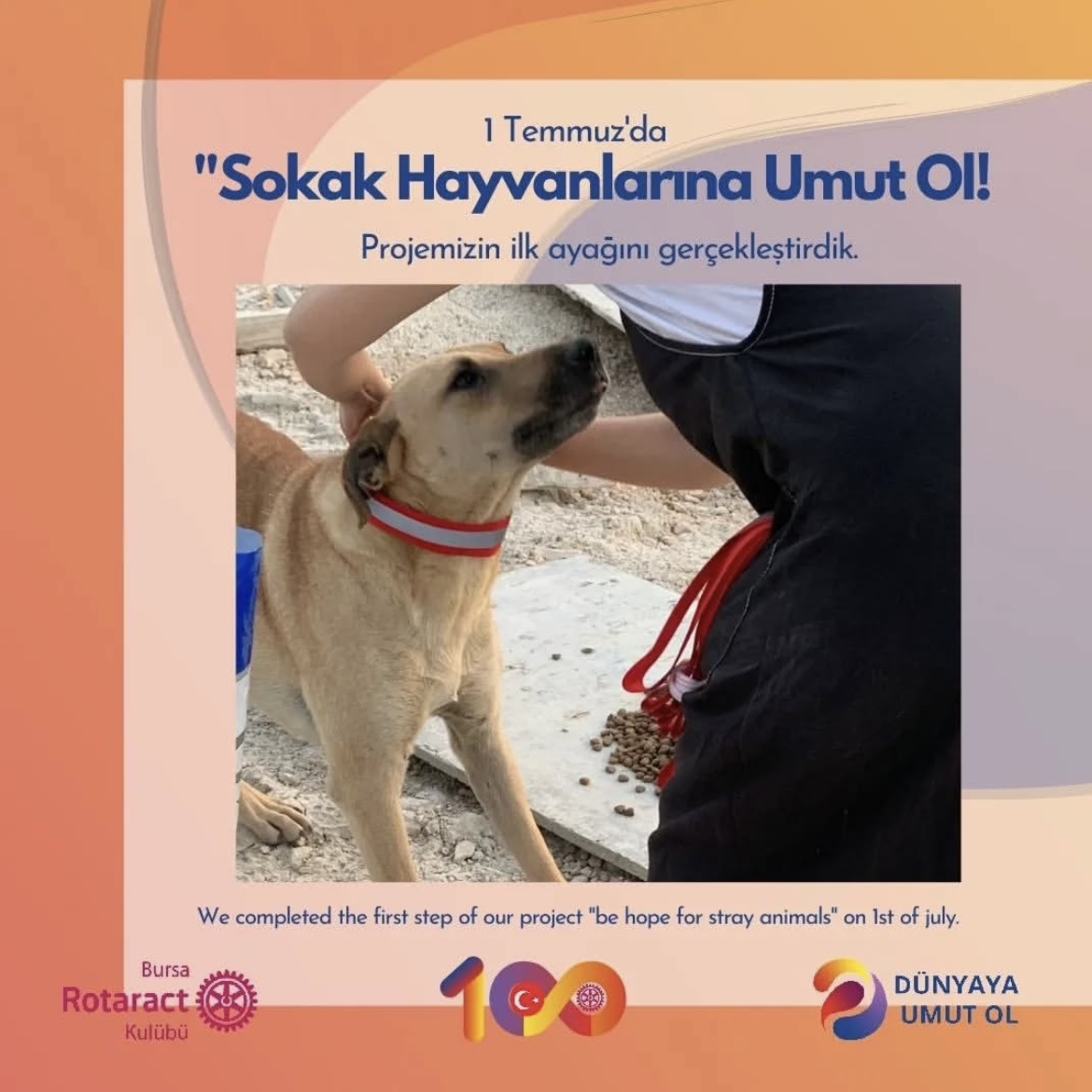 Sokak Hayvanlarına Umut Ol